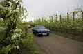 MG Bloesemrit op 24-4-2016 org. Jos&Marie-lou  (87)